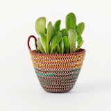 "Teal and Marigold Mini Rope Plant Holder" - Decorative Storage in multicolor by Moriah Okun