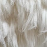 "Medium Muppet" - Original Textile Art in white by Meghan Shimek