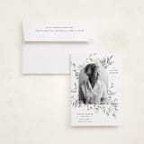 "Graceful Memory" - Memorial Cards in Dove by Nicoletta Savod - Card with Envelope
