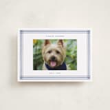 "Pencil Lines" - Memorial Cards in Jeans by Adelyn T. - Front