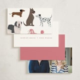 "Pooch" - Mini Note Cards in Cloud by Laura Bercovich - Back of Card Options