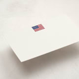 "American Flag" - Mini Note Cards in Parchment by Jennifer Lew - Detail