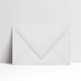 "A7 Translucent Vellum Euro Flap Envelopes, Pack of 25" - Envelopes in clear by Studio Lavender