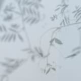 "A7 Pre-Lined Envelopes // Rain Forest (Set of 25)" - Envelopes in green by Clover and Lamb
