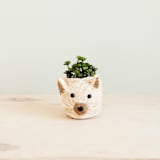 "Mini Pot Cat Planter" - Planters in natural by LIKHA