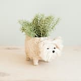 "Westie Planter" - Planters in white by LIKHA