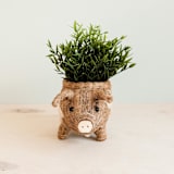 "Country Pig Planter" - Planters in brown by LIKHA