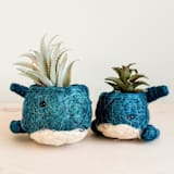 "Baby Whale Planter" - Planters in blue by LIKHA