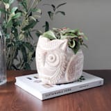 "Handmade Terracotta Pot - Horned Owl" - Planters in natural by KORISSA