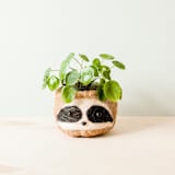 "Sloth Head (3-tone/dark) Planter" - Planters in brown by LIKHA