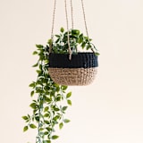"Natural + Black Round Hanging Planter" - Planters in black by LIKHA
