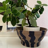 ""MALKHUT" Terracotta Planter" - Planters in multicolor by cyrille gulassa