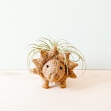 "Triceratops Planter" - Planters in brown by LIKHA