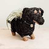 "Dachshund Planter" - Planters in black by LIKHA