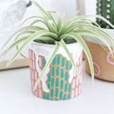 "Dash Stoneware Mini Planter" - Planters in multicolorassorted-colors by Quiet Clementine