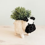 "Pug Planter" - Planters in natural by LIKHA