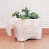 "Handmade Terracotta Pot - Folk Elephant" - Planters in natural by KORISSA