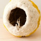 "Jellyfish Planter" - Planters in yellow by LIKHA