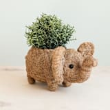 "Elephant Planter" - Planters in brown by LIKHA