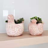 "Handmade Terracotta Pot - Spotted Dove" - Planters in natural by KORISSA