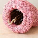 "Octopus Planter" - Planters in pink by LIKHA