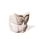 "Handmade Terracotta Pot - Big Eye Owl" - Planters in natural by KORISSA