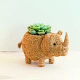 "Rhino Planter" - Planters in brown by LIKHA