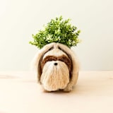 "Shih Tzu Planter" - Planters in brown by LIKHA