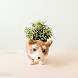 "Corgi Planter" - Planters in brown by LIKHA