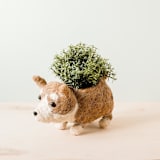 "Corgi Planter" - Planters in brown by LIKHA