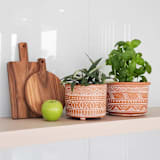 "Hand Etched Terracotta Pot - Small" - Planters in natural by KORISSA
