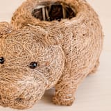 "Baby Hippo Planter" - Planters in brown by LIKHA