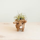 "Baby Country Pig Planter" - Planters in brown by LIKHA
