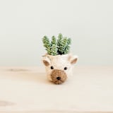 "Mini Pot Bear Planter" - Planters in natural by LIKHA