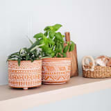 "Hand Etched Terracotta Pot-Large" - Planters in natural by KORISSA