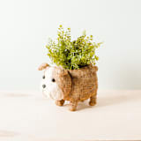"English Bulldog Planter" - Planters in brown by LIKHA