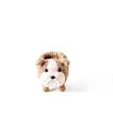 "English Bulldog Planter" - Planters in brown by LIKHA