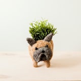 "French Bulldog Planter" - Planters in brown by LIKHA