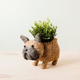 "French Bulldog Planter" - Planters in brown by LIKHA
