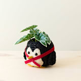 "Penguin Planter" - Planters in black by LIKHA
