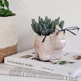 "Handmade Terracotta Pot - Rhino" - Planters in natural by KORISSA