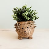 "Hedgehog Planter" - Planters in brown by LIKHA