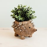 "Hedgehog Planter" - Planters in brown by LIKHA