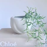 "White Soft Spiral Planter" - Planters in white by Cloude Made