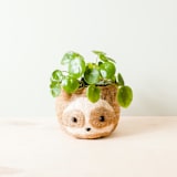 "Sloth Head (2-tone/light) Planter" - Planters in brown by LIKHA