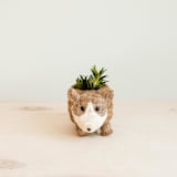 "Baby Corgi Planter" - Planters in brown by LIKHA