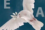 "Peace Reign" - Stationery in Quetzal Green by Zhay Smith - Close-Up