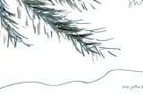 "Shiny Simple Things" - Stationery in Snow by Merian - Close-Up