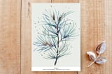 "Winter Pine Needles" - Stationery in Winter Pine by Shannon Chen of Four Wet Feet Studio - Back of Card