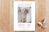 "Barking Loud" - Stationery in Blizzard by Kate Ross - Front